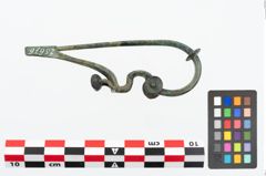 Foto von Bronzeschlangenfibel (NHMW-PRAE-025676)